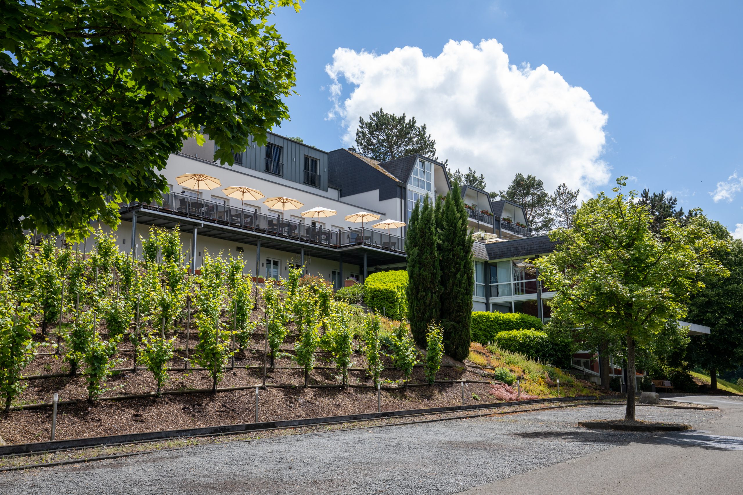 Aussenansicht Vulcano Lindenhof